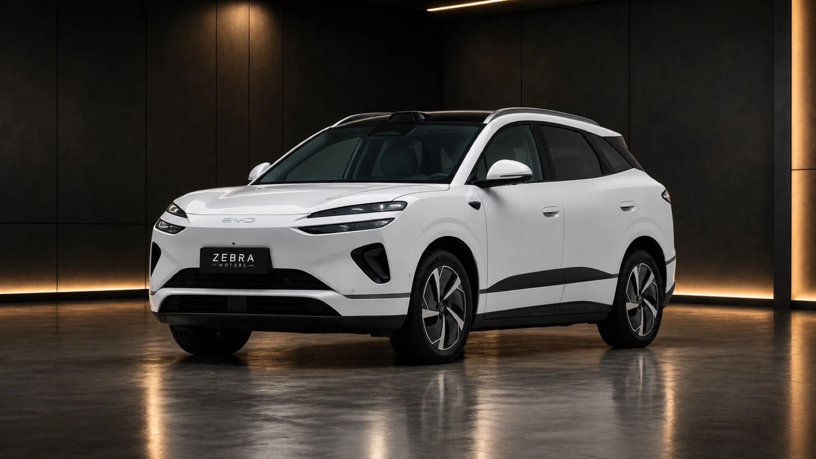 BYD Sealion 06 · Model reference