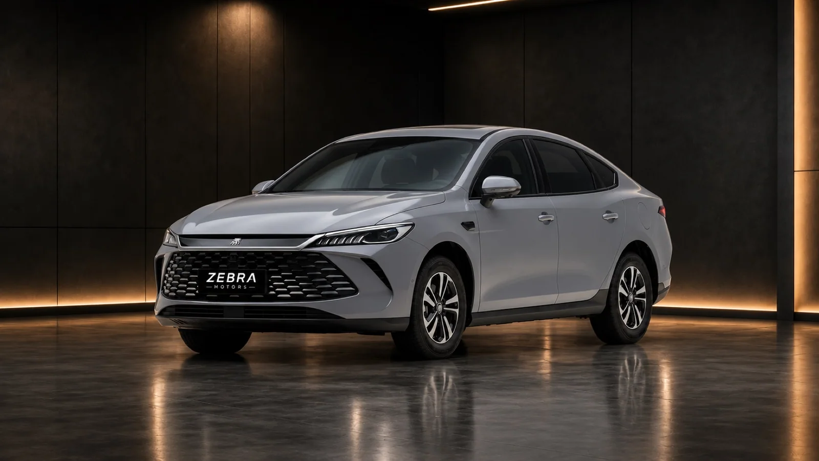 BYD Qin PLUS DM-i · 车型展示