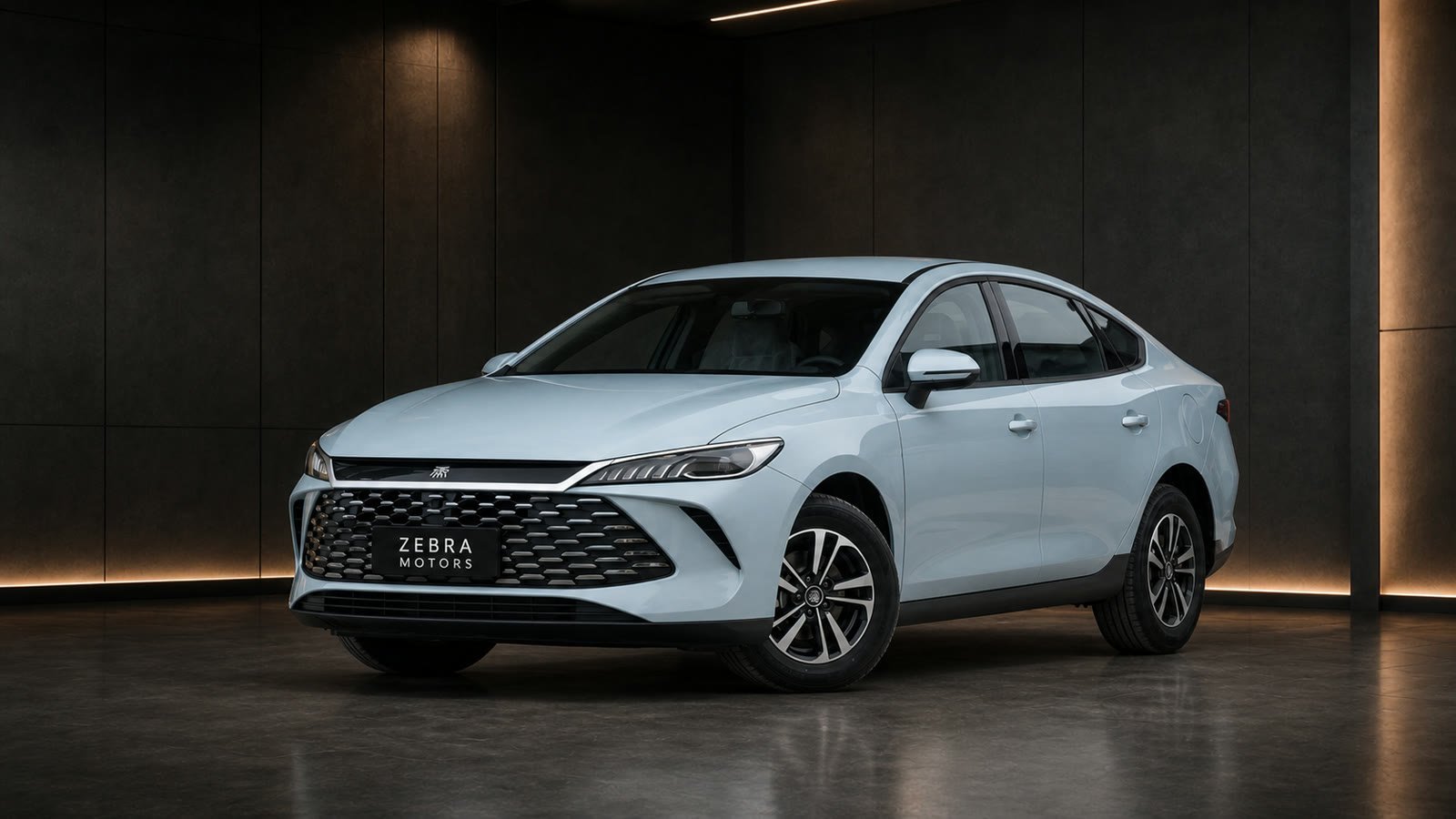 BYD Qin PLUS DM-i